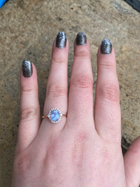 Elsa Cornflower Sapphire Halo Ring