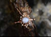 Star Sapphire Iris Rainbow Ring