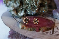 Succulent Earrings - Magick Alchemy